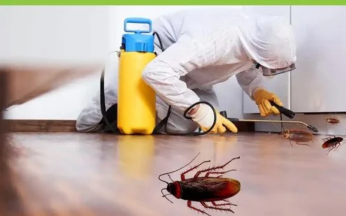 مكافحة الديدان مكافحة الحشرات بالكويت رش حشرات الكويت - 50436966
